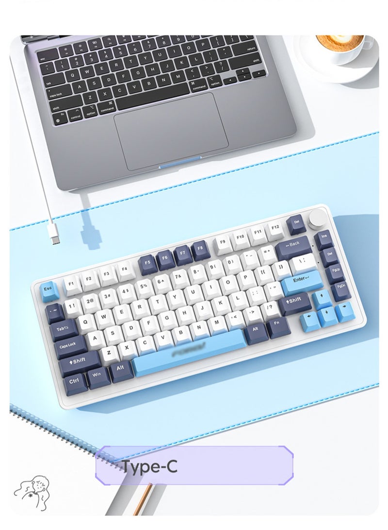 Wired Mechanical Keyboard, RGB Backlit 82 Keys Keyboard Suitable For Gaming,E-Sports,Study,Work (PinkGreen) - Image 4