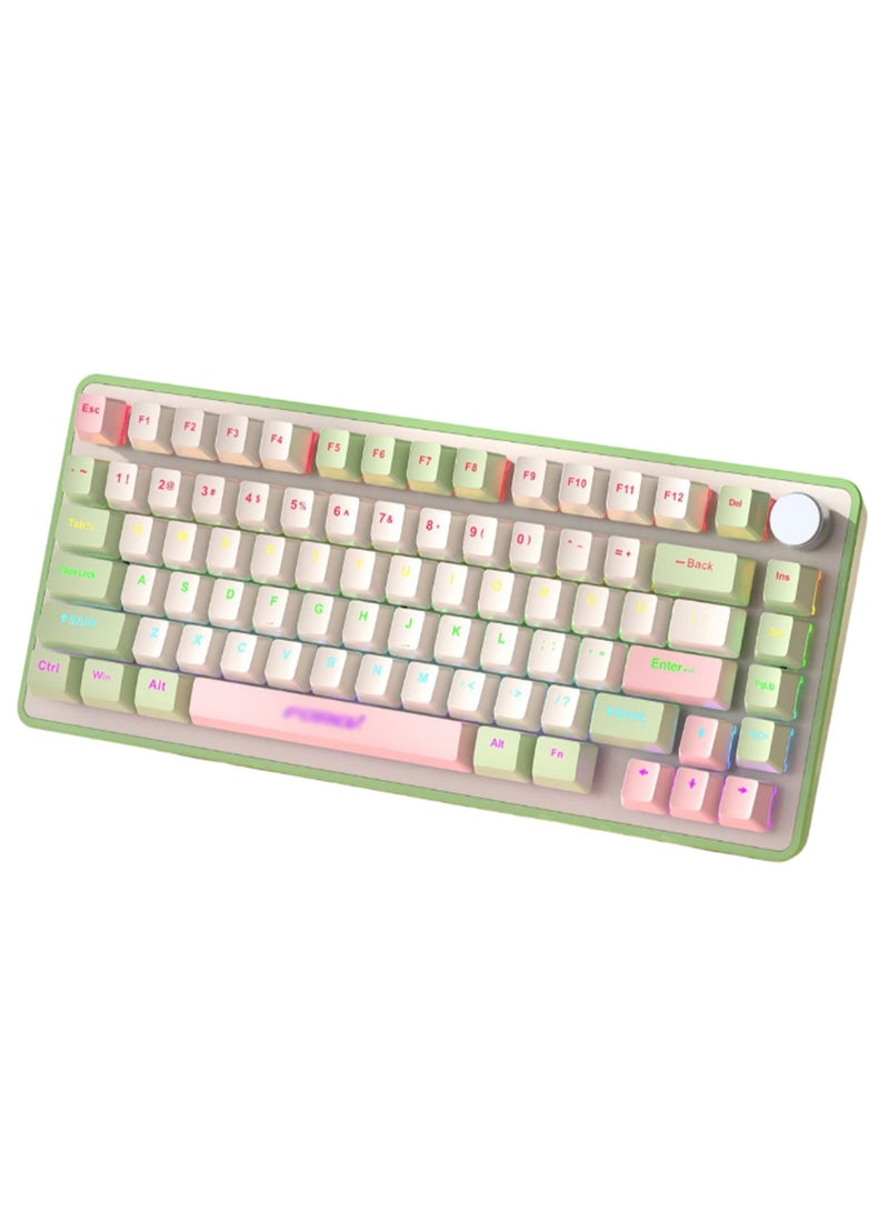Wired Mechanical Keyboard, RGB Backlit 82 Keys Keyboard Suitable For Gaming,E-Sports,Study,Work (PinkGreen) - Image 1