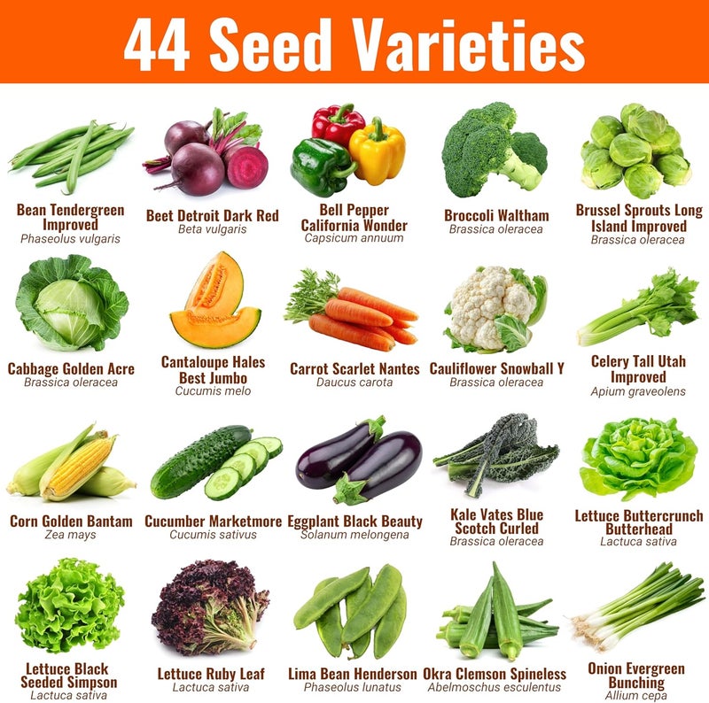 Open Seed Vault Variety Pack Bundle (44 Varieties) Herb Garden Seeds - Gardening Seed Starter Kit, Survival Gear Food, Gardening Gifts, Emergency Supplies - Premium, High Yield Produce - Image 2