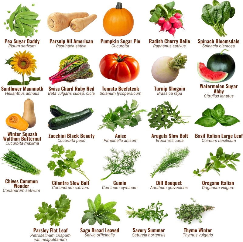 Open Seed Vault Variety Pack Bundle (44 Varieties) Herb Garden Seeds - Gardening Seed Starter Kit, Survival Gear Food, Gardening Gifts, Emergency Supplies - Premium, High Yield Produce - Image 3