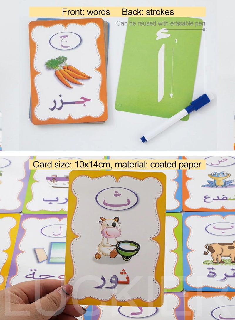 LUCKIER Dual language practice writing cards, 28 colorful Arabic alphabet flashcards, 28 colorful English alphabet practice cards, with 2 erasable markers, early word education toy learning interactive set, suitable for kindergarten practice, writing - Image 3
