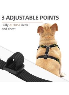 PUPTECK PUPTECK Dog Harness and Leash Set for Small Medium Dogs No Pull, Soft Mesh Adjustable Puppy Cat Harness Reflective at Night, Black M  - Image 3