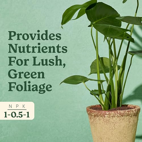 Miracle-Gro Indoor Plant Food for Tropicals, Liquid Plant Food for Tropical Houseplants, 8 fl. oz., 2-Pack - Image 4