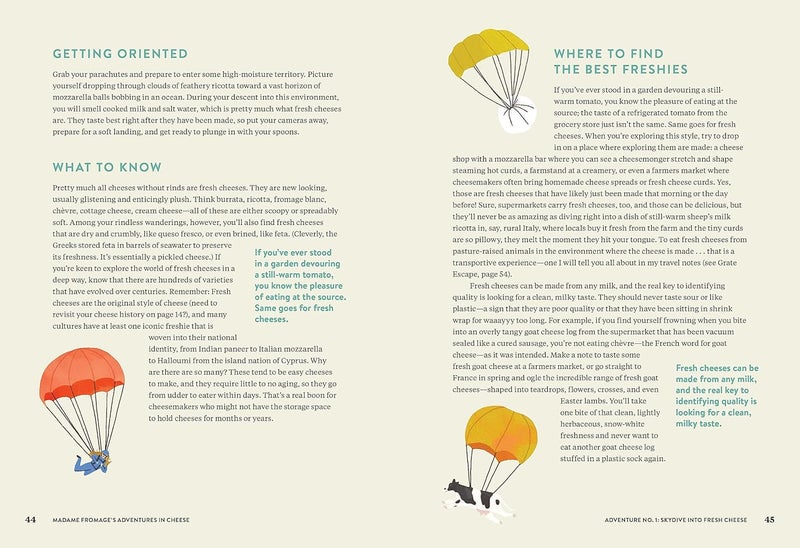 مغامرات مدام فروماج في الجبنة: كيفية استكشافها، وتنسيقها، وحبها، من أطرى جبن البري إلى أجرأ أنواع الجبنة الزرقاء - Image 4
