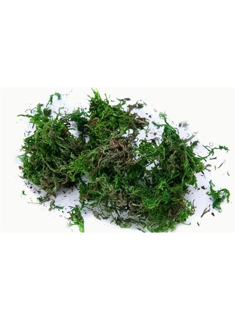 LINGWEI 400g Artificial Moss Fake Green Grass for Centerpieces Home Kitchen Garden Decor - Image 4