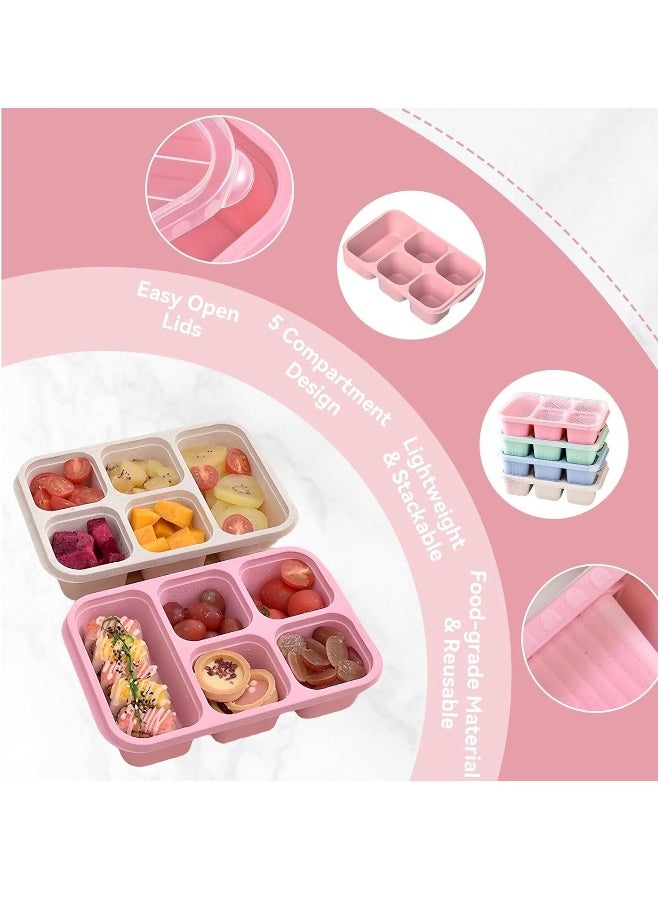 Generic - 4 Pcs Bento Box, 5 Compartment Bento Box with Transparent Lid for Food Storage and Snack Contain, Reusable Bento Lunch Box for School, Work, Travel, and On-the-Go Meals - Image 1