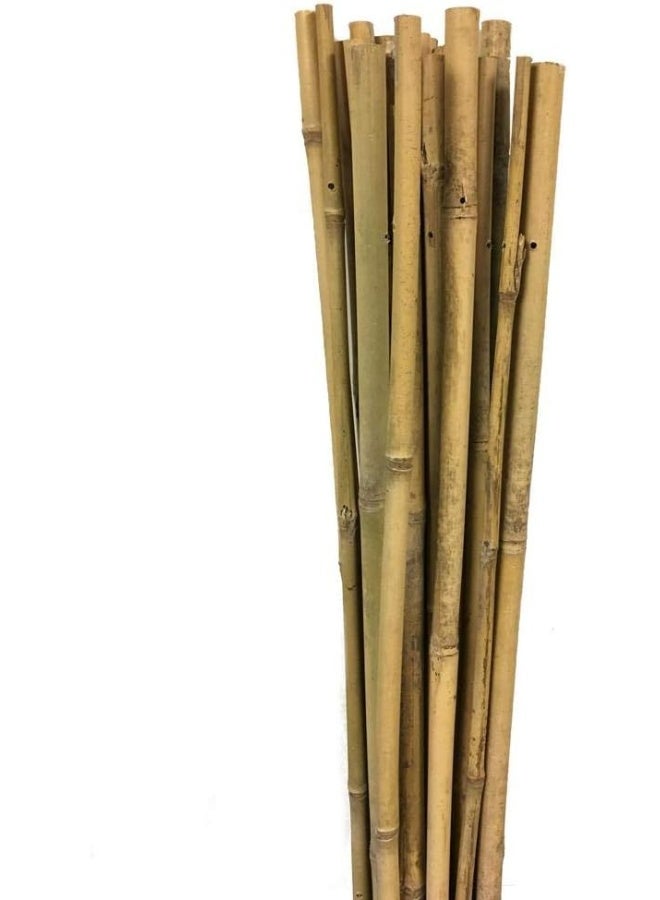 Egardenkart Bamboo Plant Support Stake Stick/Garden Stake 5 Pieces , 180Cm  - Image 5