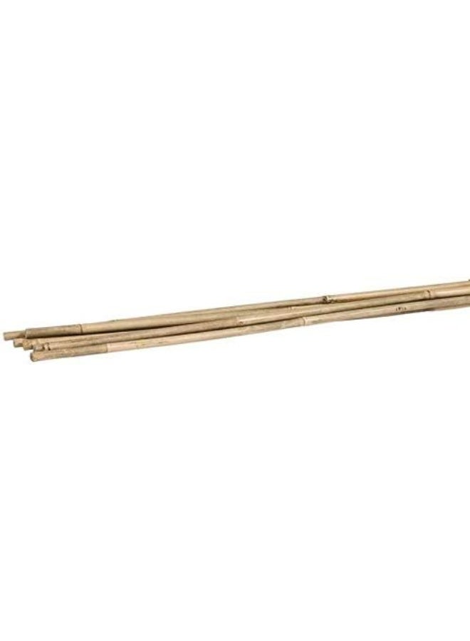 Egardenkart Bamboo Plant Support Stake Stick/Garden Stake 5 Pieces , 180Cm  - Image 2