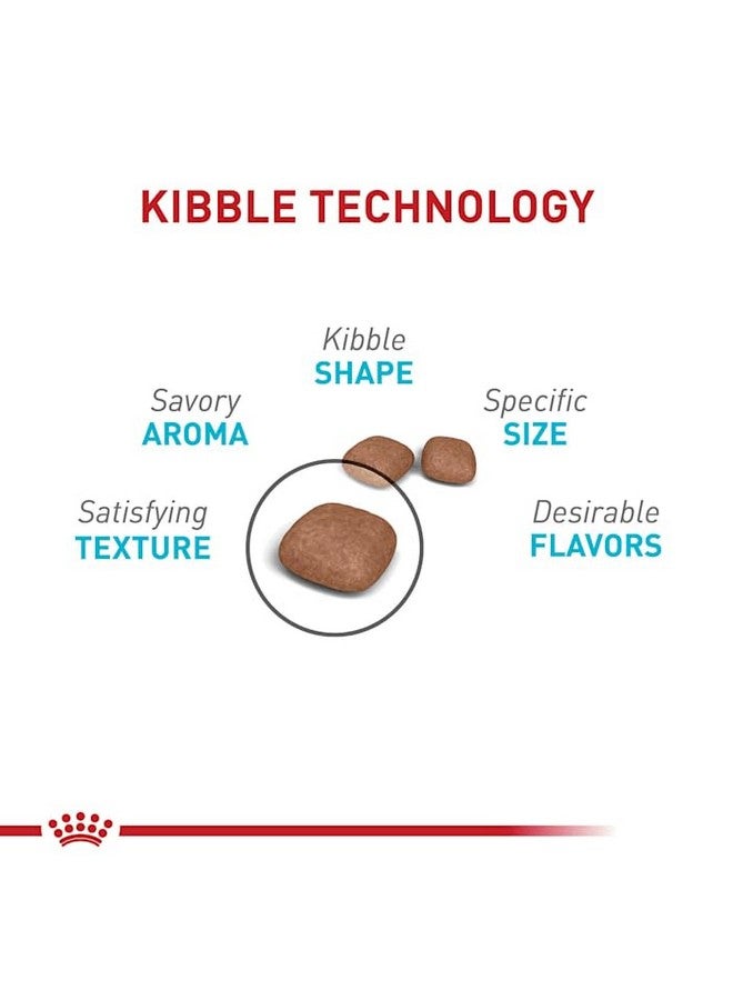 رويال كانين طعام جاف للقطط البالغة من رويال كانين للعناية بالقطط البولية، كيس 6 أرطال - Image 5