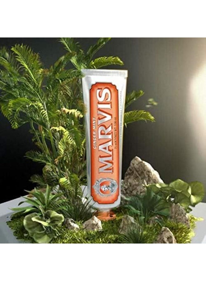 مارفيس معجون أسنان مارفيس بالزنجبيل والنعناع 75 مل 3.8 أونصة نضارة مكثفة - Image 4