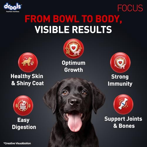 Drools Focus Premium Puppy Dry Dog Food 1.2kg Pack | Chicken Flavour | Growth & Intelligence | Digestive Health | Healthy Skin & Coat | Improves Immunity - Image 4