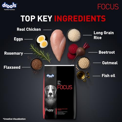 Drools Focus Premium Puppy Dry Dog Food 1.2kg Pack | Chicken Flavour | Growth & Intelligence | Digestive Health | Healthy Skin & Coat | Improves Immunity - Image 3