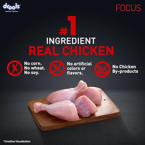Drools Focus Premium Puppy Dry Dog Food 1.2kg Pack | Chicken Flavour | Growth & Intelligence | Digestive Health | Healthy Skin & Coat | Improves Immunity - Image 2