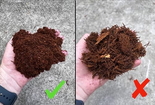 Tezula Plants Premium New Zealand Tree Fern Fiber (Debris Free) Growing Medium and Reptile Substrate- Natural, Organic, Long Lasting | for Orchids and Tropicals | Use in Terrariums and Vivariums (1 Gallon) - Image 2