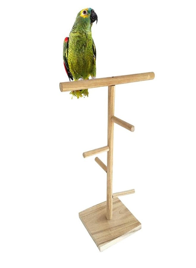 SS Organic Training Gym Cum Exercise Stand Natural Wood Playful Perch Bird Stand/Bird Toy Small Animals - Accessories, Toys, and Supplies (23 Inches / 60 cm) - Image 5