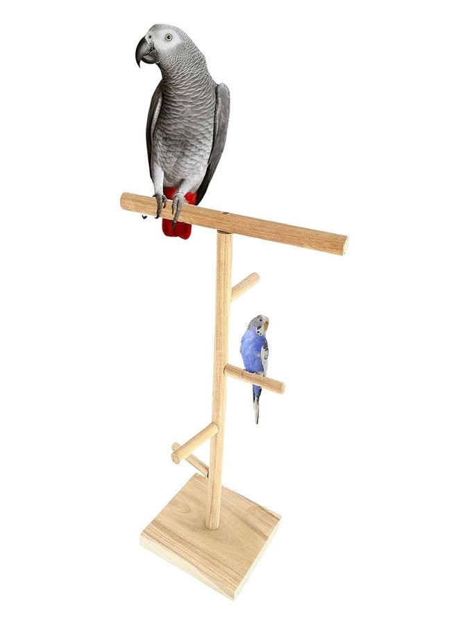 SS Organic Training Gym Cum Exercise Stand Natural Wood Playful Perch Bird Stand/Bird Toy Small Animals - Accessories, Toys, and Supplies (23 Inches / 60 cm) - Image 1