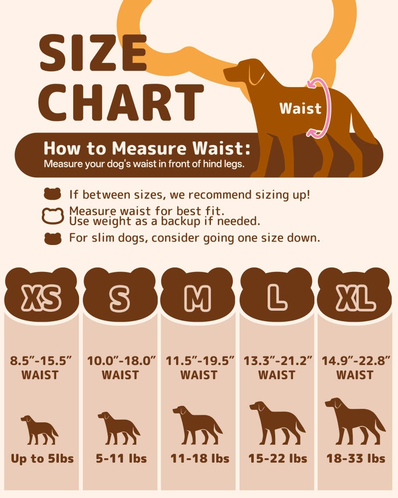 Dono Disposable Dog Diapers Female (20-60PCS), Pull it Up Doggie Diapers for Female Dogs with 360Â° Stretchy Waist, Doggy Diapers for Dog in Heat Period, Super Absorbent Leak-Proof Puppy Diapers, M - Image 2