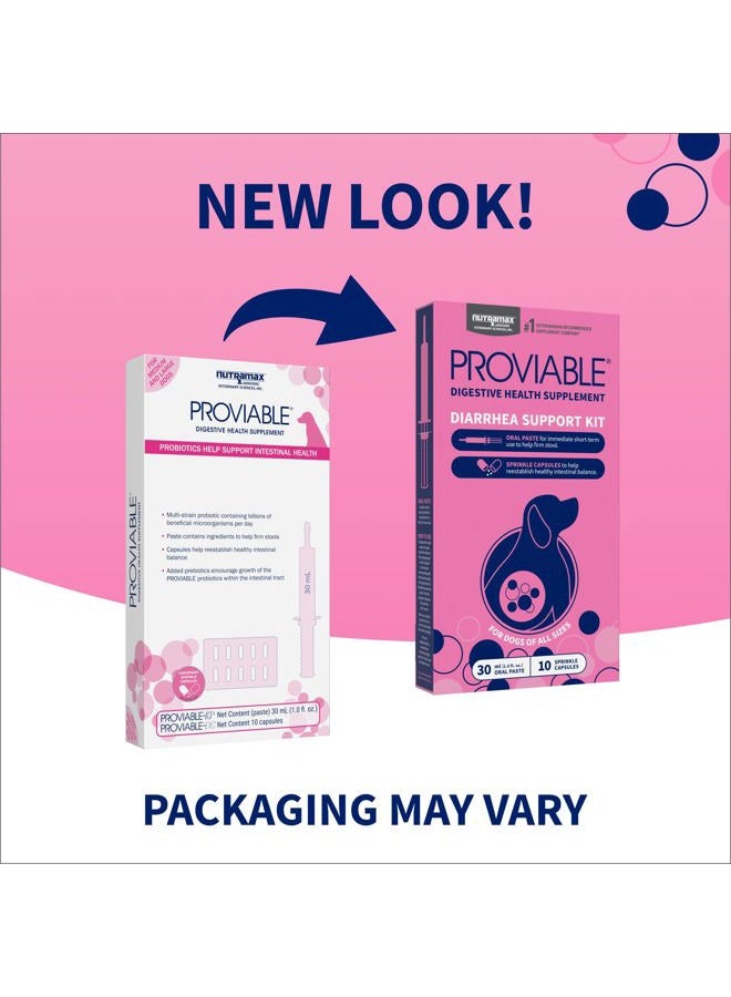 Nutramax Laboratories مجموعة مكملات صحة الجهاز الهضمي Proviable مع بروبيوتيك متعدد السلالات وبريبايوتيك للكلاب المتوسطة إلى الكبيرة - مع 7 سلالات من البكتيريا، 30 مل معجون و10 كبسولات - Image 2