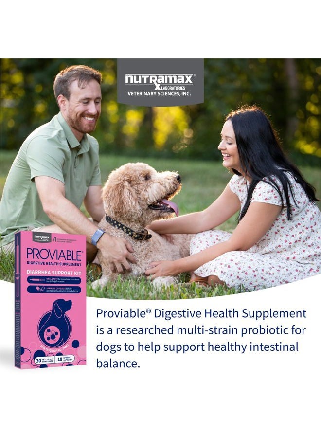 Nutramax Laboratories مجموعة مكملات صحة الجهاز الهضمي Proviable مع بروبيوتيك متعدد السلالات وبريبايوتيك للكلاب المتوسطة إلى الكبيرة - مع 7 سلالات من البكتيريا، 30 مل معجون و10 كبسولات - Image 3