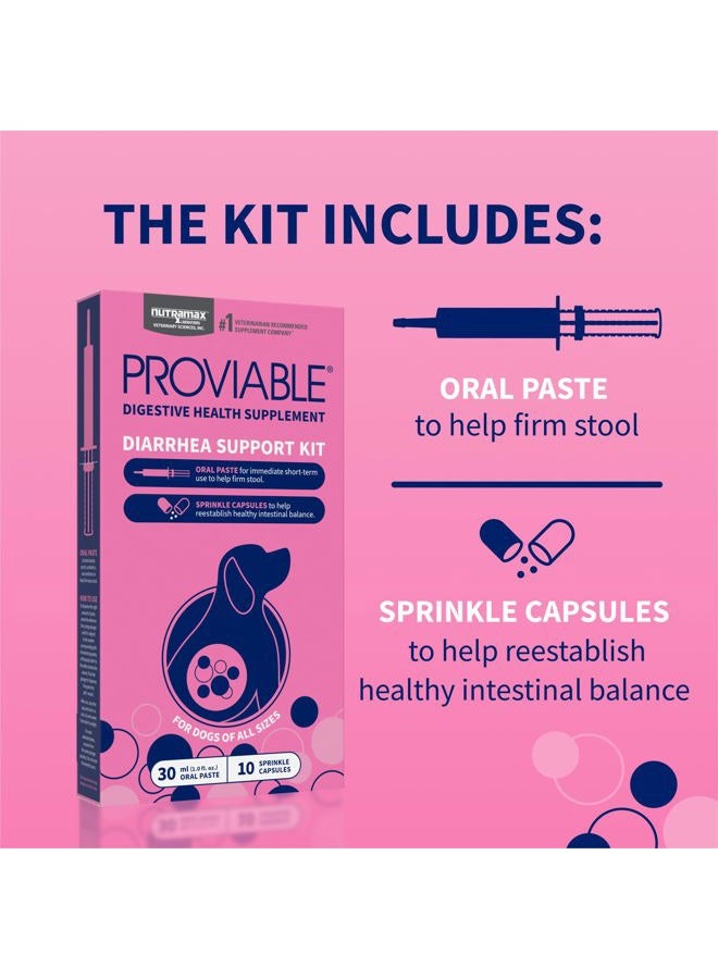 Nutramax Laboratories مجموعة مكملات صحة الجهاز الهضمي Proviable مع بروبيوتيك متعدد السلالات وبريبايوتيك للكلاب المتوسطة إلى الكبيرة - مع 7 سلالات من البكتيريا، 30 مل معجون و10 كبسولات - Image 4