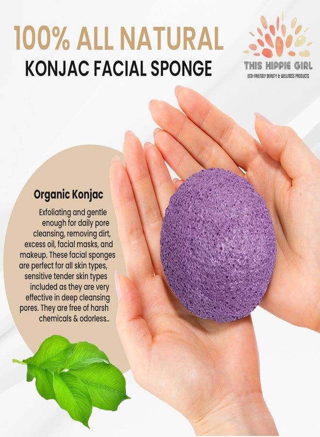 Boho Aromatic This Hippie Girl | Konjac Exfoliating Organic Facial Sponge | Plant Based Gentle Exfoliating Face Scrubbie | Safe for Sensitive Skin | Amethyst Purple (Purple) - Image 2