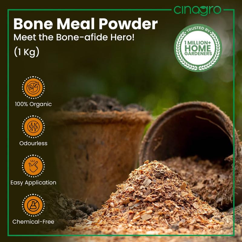 Cinagro Organic Bone Meal, 1 Kg Powder Fertilizer for Plants, Odourless, Boosts Root Growth, Flowering & Fruiting, Indoor and Outdoor Gardening - Image 2