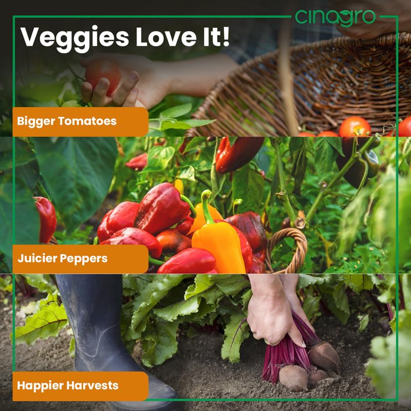 Cinagro Organic Bone Meal, 1 Kg Powder Fertilizer for Plants, Odourless, Boosts Root Growth, Flowering & Fruiting, Indoor and Outdoor Gardening - Image 4