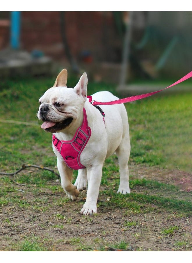 Joytale - Joytale Step-in Mesh Dog Harness, No Pull Dog Harness, Anti-Escape Dog Reflective Harness, Adjustable Soft Breathable Padded Pet Vest for Everyday Walking and Training for Small Dogs, Hotpink,S - Image 1