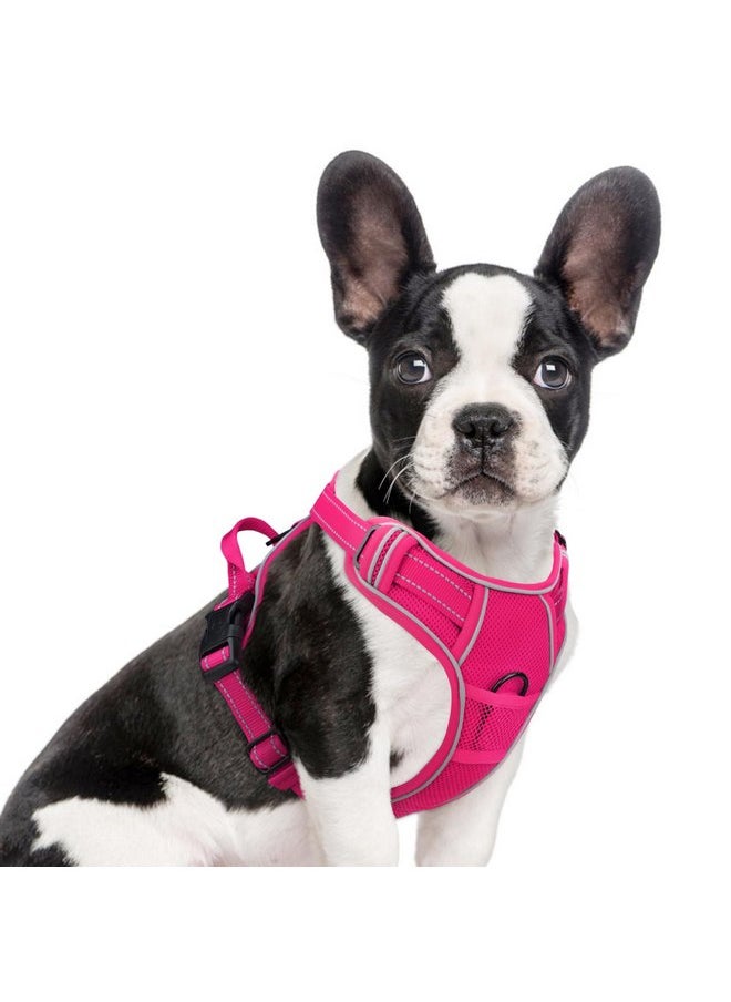 Joytale - Joytale Step-in Mesh Dog Harness, No Pull Dog Harness, Anti-Escape Dog Reflective Harness, Adjustable Soft Breathable Padded Pet Vest for Everyday Walking and Training for Small Dogs, Hotpink,S - Image 1