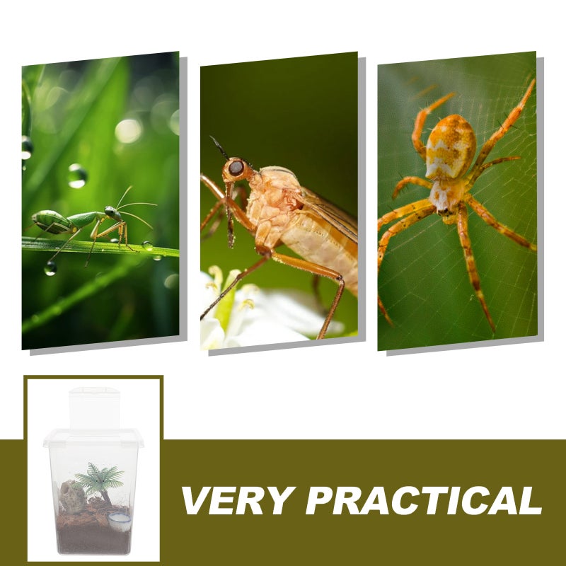 1 Set Of Jumping Spider Feeding Box Spider Pet Box Pet Breeding Box Spider Pet Box Transparent Reptile Breeding Box - Image 5