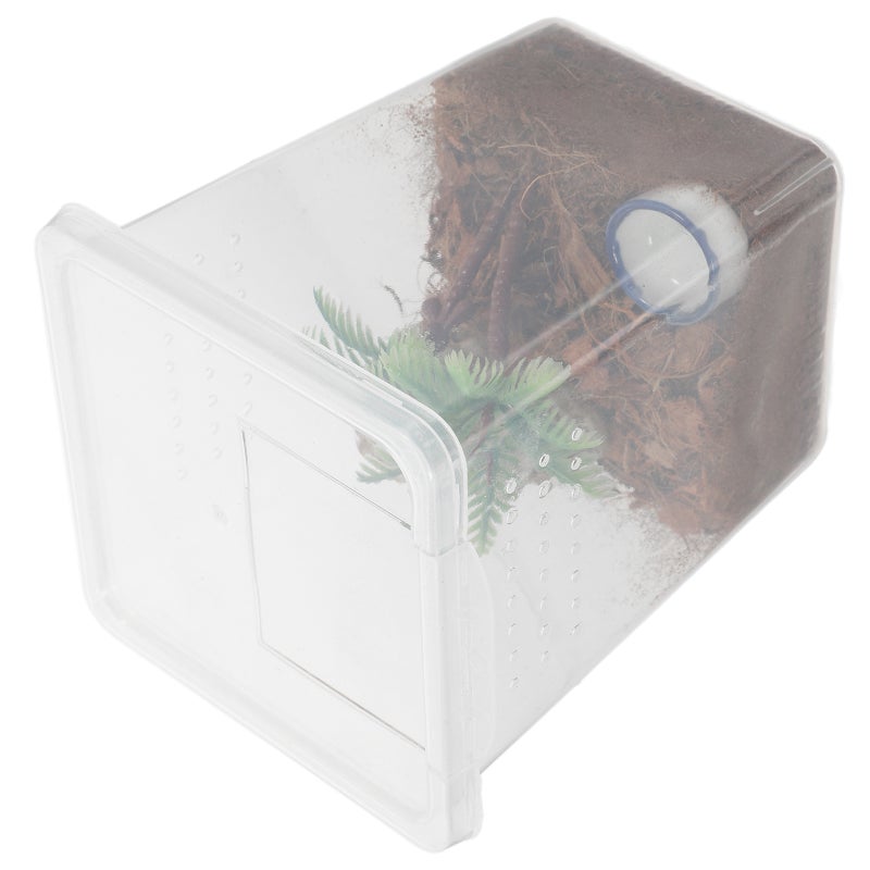 1 Set Of Jumping Spider Feeding Box Spider Pet Box Pet Breeding Box Spider Pet Box Transparent Reptile Breeding Box - Image 4