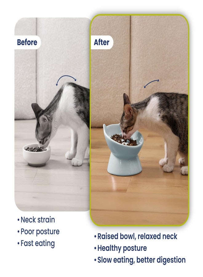 PawsPik Lynx Ceramic Raised Slow Feeder Dog & Cat Bowl, Tilted 15° Elevated Pet Food Bowl, Whisker-Friendly Anti-Choking Dish, Dishwasher Safe (Sky Blue) - Image 5
