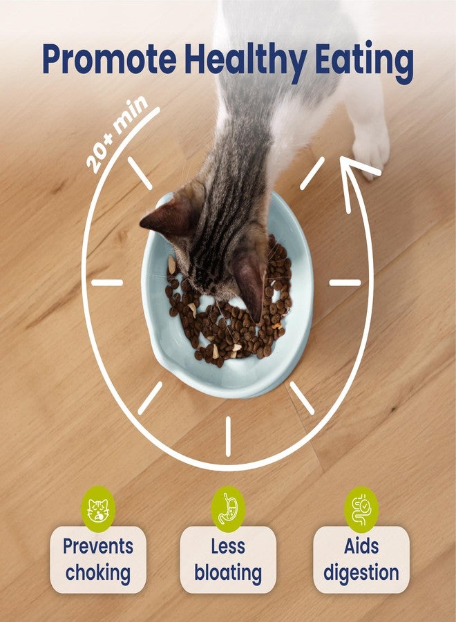 PawsPik Lynx Ceramic Raised Slow Feeder Dog & Cat Bowl, Tilted 15° Elevated Pet Food Bowl, Whisker-Friendly Anti-Choking Dish, Dishwasher Safe (Sky Blue) - Image 3