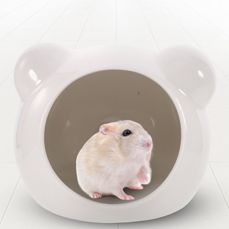 🐾 بيت حجري متين بشكل كرتوني لفئران صغير للحيوانات الأليفة الصغيرة - Image 5