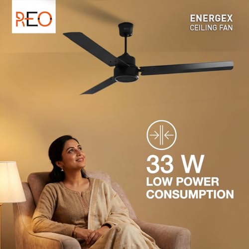 Havells ريو من هافيلز BLDC مروحة سقف 1200 مم "سعر ثابت دائماً" | تدفق الهواء: 220 CMM | السرعة: 350 RPM | وضع الدوران العكسي | إعداد المؤقت | ضمان باب لمدة 2 سنة من الشركة المصنعة (إنرجيكس، مات بلاك) - Image 3