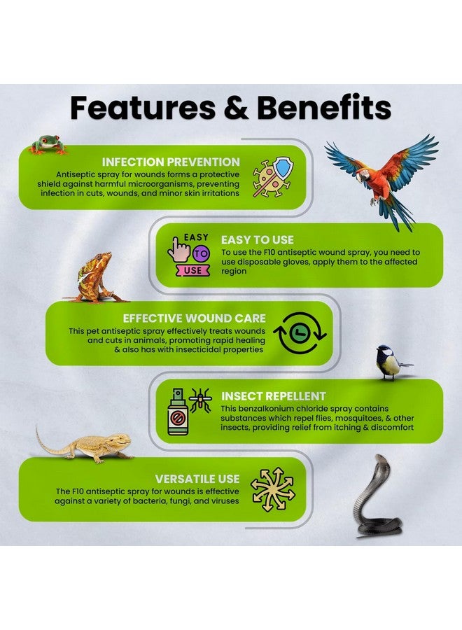 F10 Antiseptic Barrier Ointment for Reptiles, Birds, Small Animals & Exotic Animals, Natural Wound Healing Ointment for Pet, Relieves Pain & Prevents Infection - 500g - Image 4