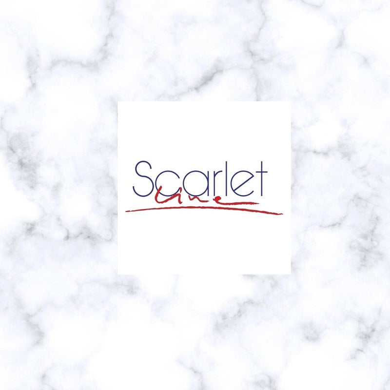 Scarlet Line Scarlet Line Professional Series Small Size Round Double Sided Magnifying Makeup Purse Mirror with Handle for Men Women Silver Color - Image 5
