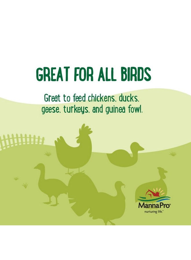 مانا برو مفضلات مزرعة مانا برو - كعكات حظائر الدواجن - حلوى الدواجن المختلطة - كعكة حلوى الدجاج - مصنوعة من عباد الشمس وديدان الدقيق - 3 كعكات - Image 3