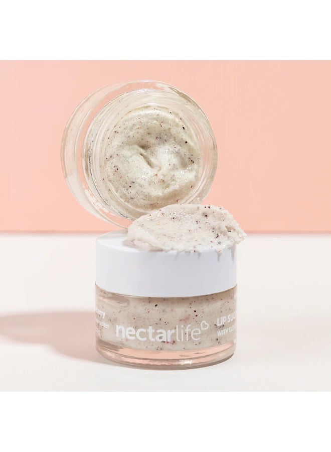 Nectar Life All Natural, Vegan Lip Scrub, Sugar Lip Scrub, Conditioning Lip Scrub, Gentle Exfoliation, Lip Polish & Lip Exfoliator Gift for Women and Girls (Blueberry) - Image 2