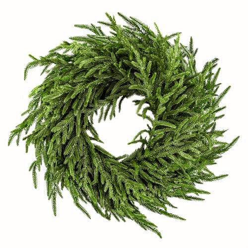 ENVEN 24" Norfolk Pine Wreath for Front Door, Real Touch Norfolk Pine Wreath Artificial Green Wreath Greenery Realistic Wreath Holiday Decoration for Home Decor - Image 1