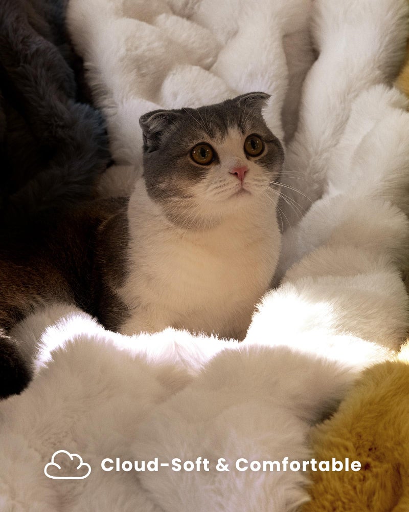 blunique Ultra Soft Cozy Faux Fur Throw Blanket, Fuzzy Plush Thick Bubble Blanket, Luxury Fluffy Blanket for Couch, Sofa, Bedroom, and Living Room, 50x60 Inches, Cream White - Image 3