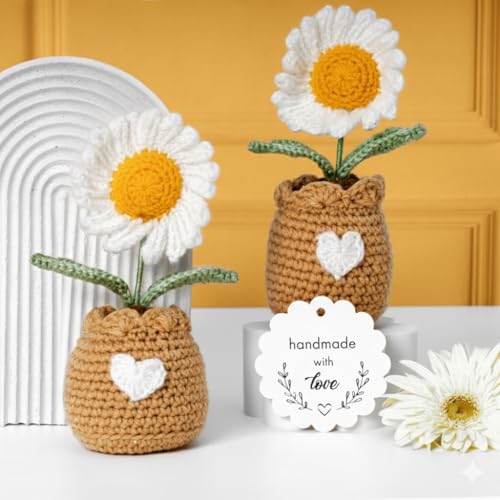 Rarejoy Gift Combo for Men and Women – Luxury Handcrafted gift combo Includes Crochet Daisy Flower Pot & Daisy Diary – Perfect for Valentine, Anniversary, Birthday & Special Occasions - Image 2