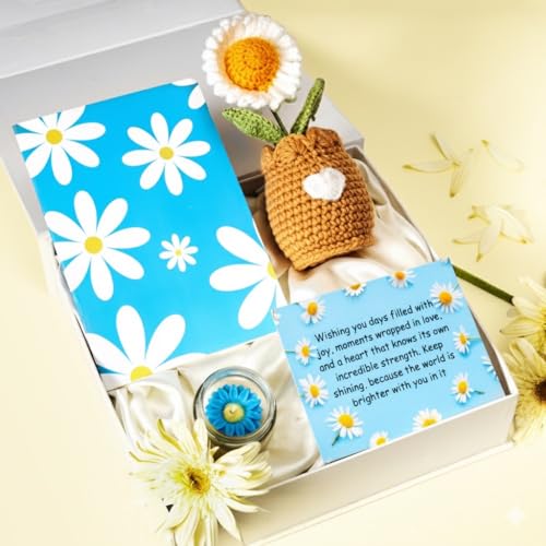 Rarejoy Gift Combo for Men and Women – Luxury Handcrafted gift combo Includes Crochet Daisy Flower Pot & Daisy Diary – Perfect for Valentine, Anniversary, Birthday & Special Occasions - Image 1