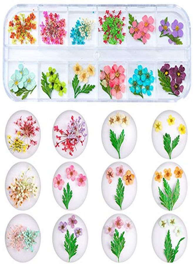 Kissbuty 2 Boxes Dried Flowers For Nail Art 24 Colors Dry Flowers Mini Real Natural Flowers Nail Art Supplies 3D Applique Nail Decoration Sticker For Tips Manicure Decor (Daffodil Hydrangea Leaf)  - Image 2