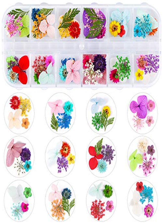 Kissbuty 2 Boxes Dried Flowers For Nail Art 24 Colors Dry Flowers Mini Real Natural Flowers Nail Art Supplies 3D Applique Nail Decoration Sticker For Tips Manicure Decor (Daffodil Hydrangea Leaf)  - Image 3