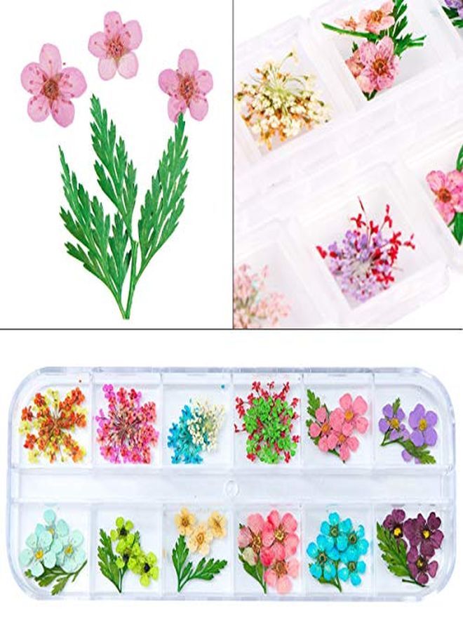 Kissbuty 2 Boxes Dried Flowers For Nail Art 24 Colors Dry Flowers Mini Real Natural Flowers Nail Art Supplies 3D Applique Nail Decoration Sticker For Tips Manicure Decor (Daffodil Hydrangea Leaf)  - Image 4