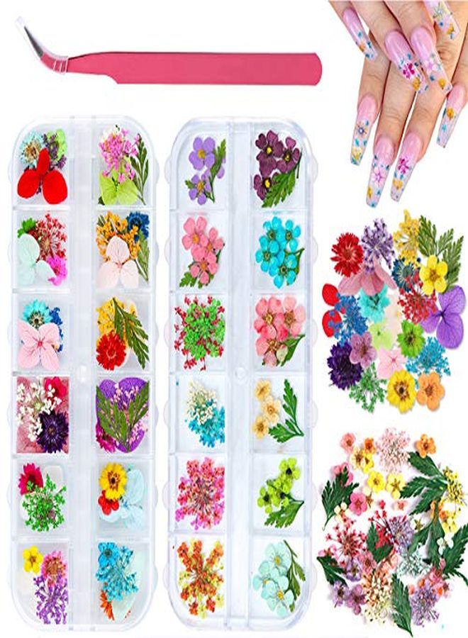 Kissbuty 2 Boxes Dried Flowers For Nail Art 24 Colors Dry Flowers Mini Real Natural Flowers Nail Art Supplies 3D Applique Nail Decoration Sticker For Tips Manicure Decor (Daffodil Hydrangea Leaf)  - Image 1