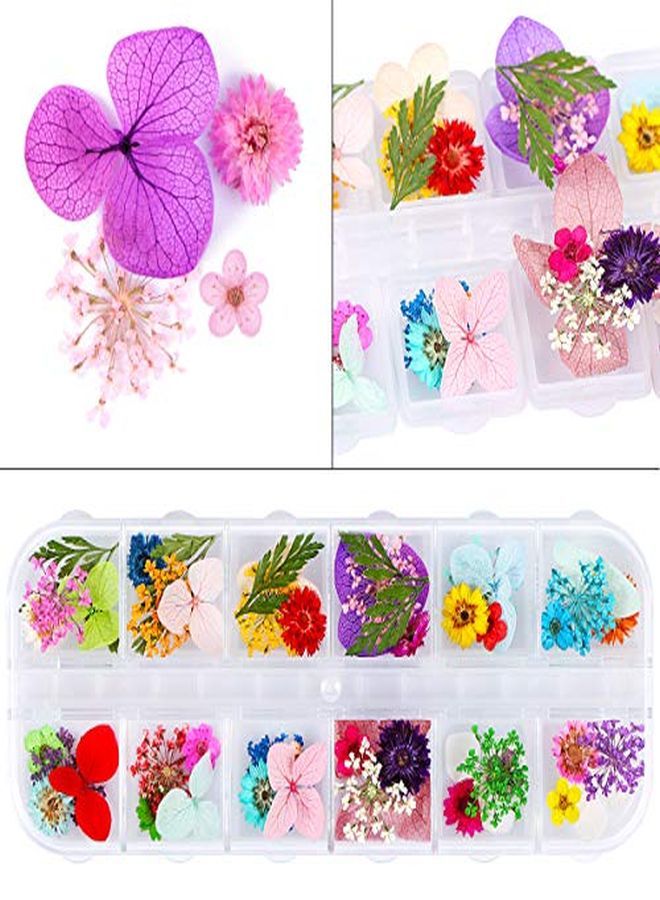 Kissbuty 2 Boxes Dried Flowers For Nail Art 24 Colors Dry Flowers Mini Real Natural Flowers Nail Art Supplies 3D Applique Nail Decoration Sticker For Tips Manicure Decor (Daffodil Hydrangea Leaf)  - Image 5