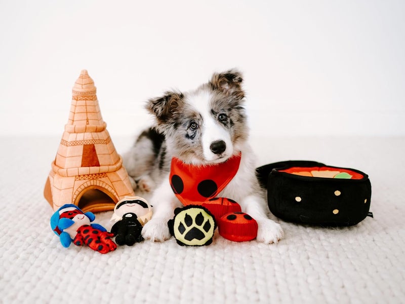 Miraculous Zippy Burrow® Interactive Hide and Seek Squeaky Dog Toy - Heroes in Paris - Image 2