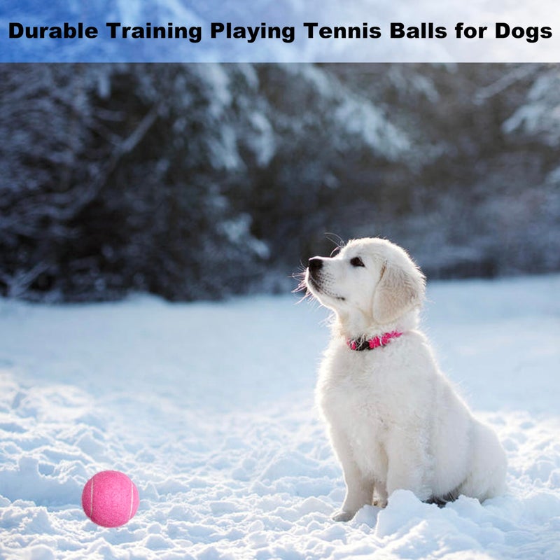 Hpwfhplf Tennis Balls  12 Packs Practice Tennis Balls For Beginner  Training Playing Tennis Balls For Dogs  Come With Mesh Carry Bag (Purple) - Image 5